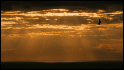 25 AFFTF COLDPLAY 16x9 JOE CLARKE ezgif com video to gif converter