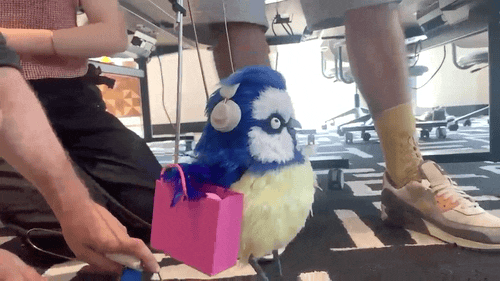 BLINKINK Andy Adeena Confused com BTS Gif 3