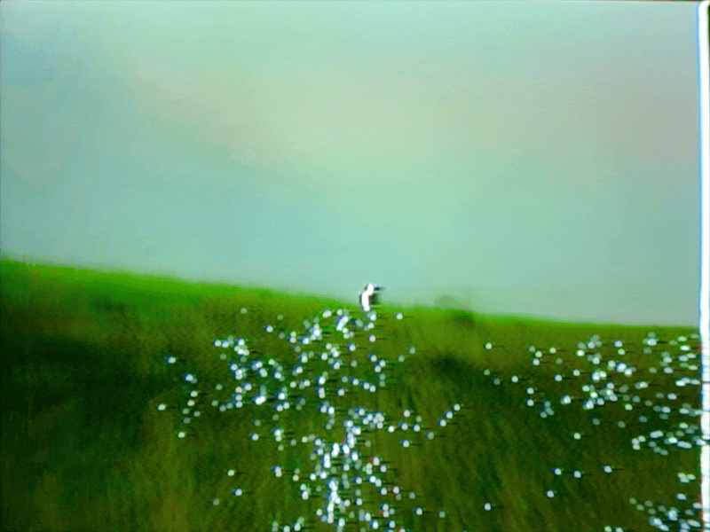 Blinkink Gareth Bowen Baby Dave San Pellegrino GIF 11