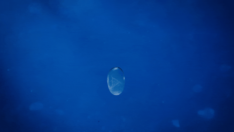 Blinkink Gareth Bowen Water Aid Christmas Gif 1