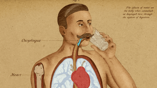 Blinkink Gareth Bowen Water Aid Christmas Gif 3