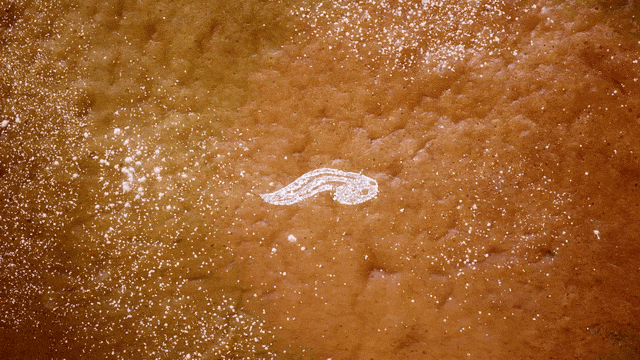 Blinkink Isabel Garett GBBO GIF 3