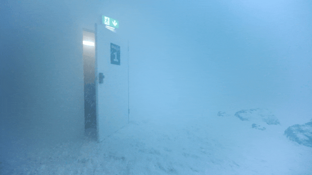 Blinkink Joe Mann Project Redwood 28