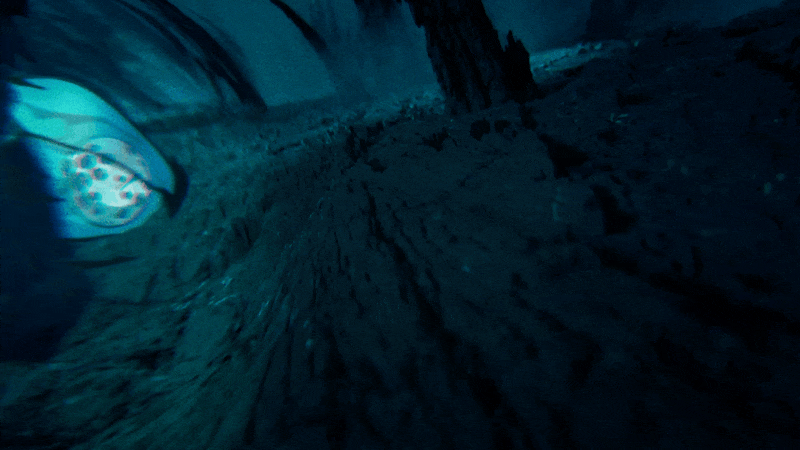 Blinkink Lea Esmaili Raman Djafari Nike Strike Gif 2