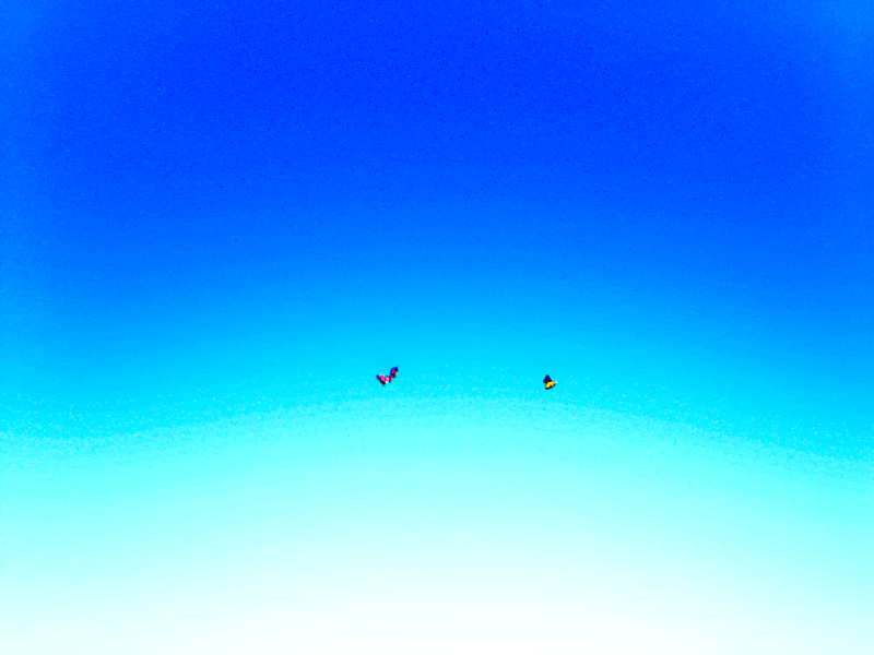 Blinkink Lea Esmaili THEODORA MASOKO Gif 2