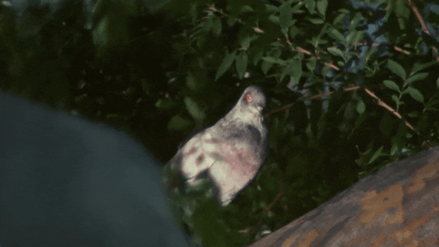 Blinkink Zach Tavel Grubhub gif10