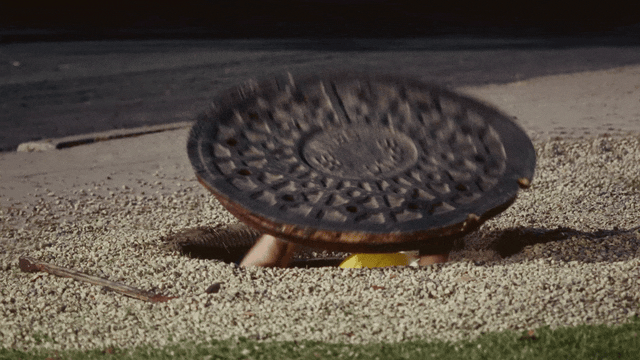 Blinkink Zach Tavel Grubhub gif4