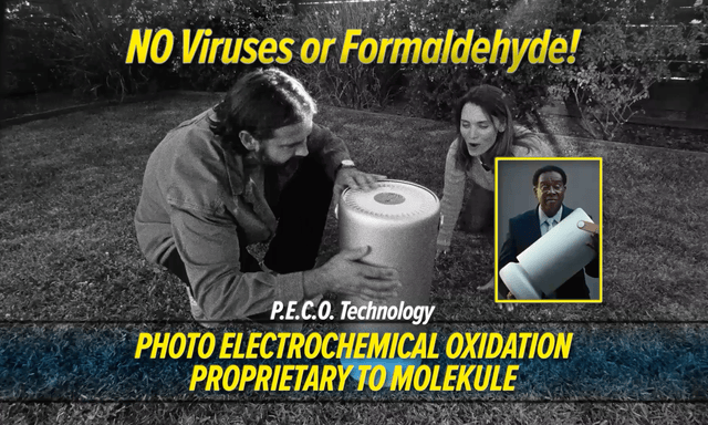 Blinkink Zach Tavel Molekule Its Not A Dog gif4