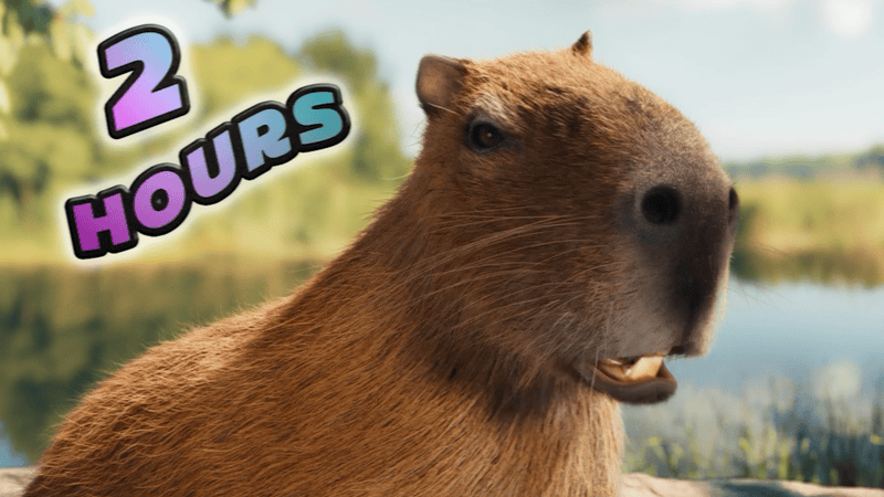 Blinkink Zach Tavel Youtube US GIF 3