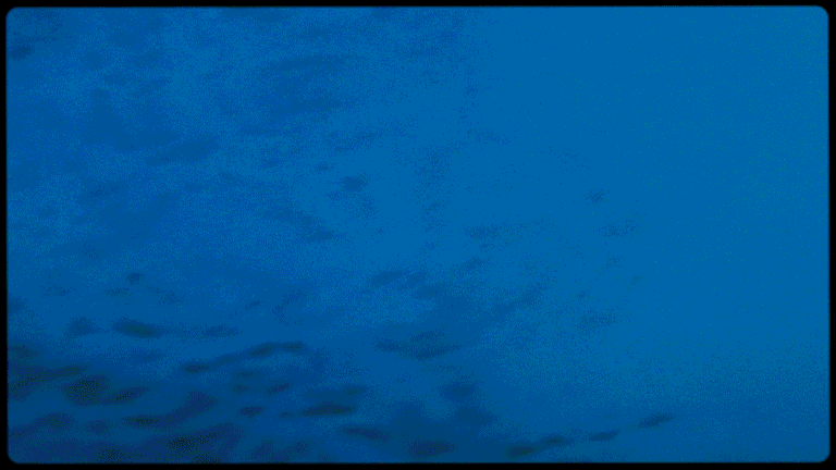 Coldplay AFFTF Isabel Garrett GIF 1b
