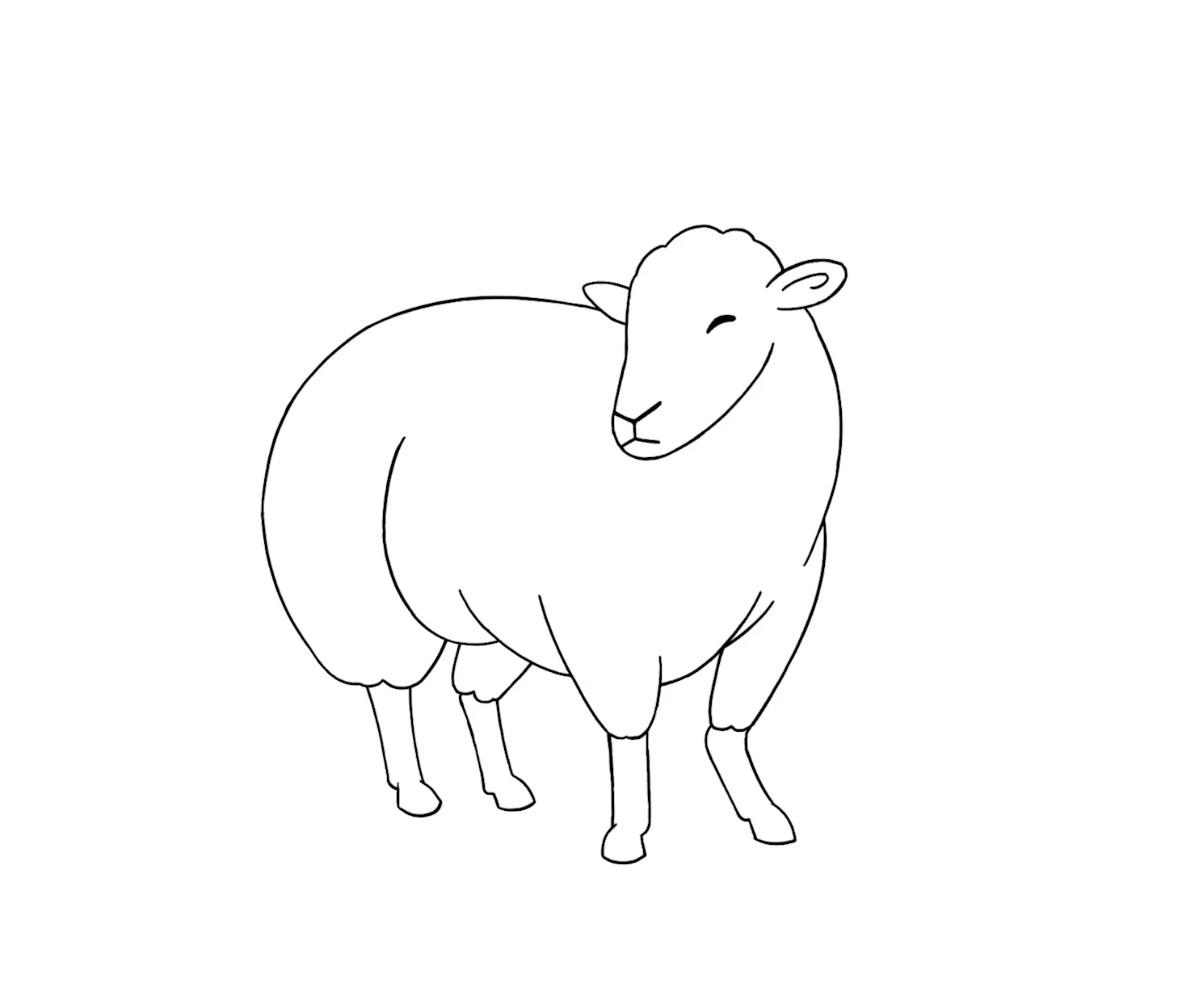 DFS Will Wightman SHEEP
