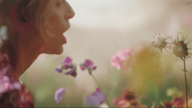 Delpozo DVEIN Nested Sequence 02