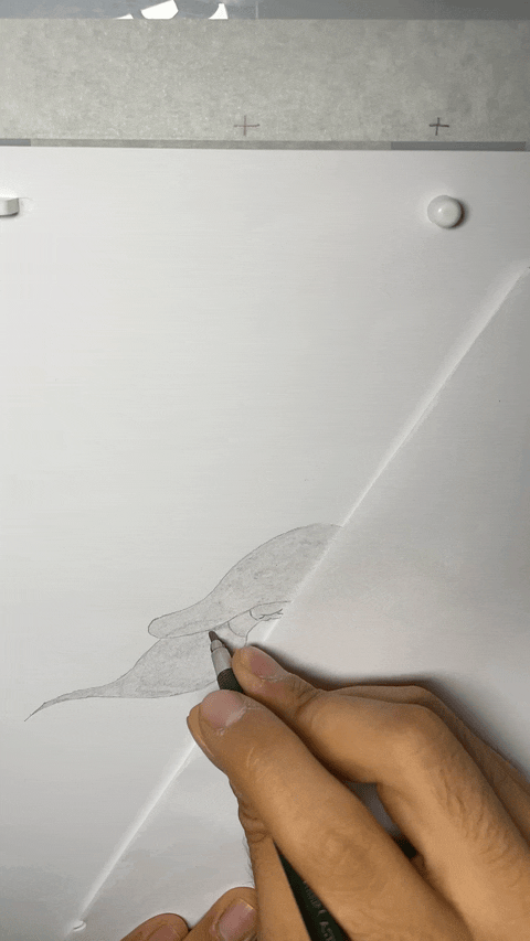 Mario Coldplay Birds BTS 1