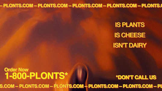 PLONTS ZACH TAVEL 19