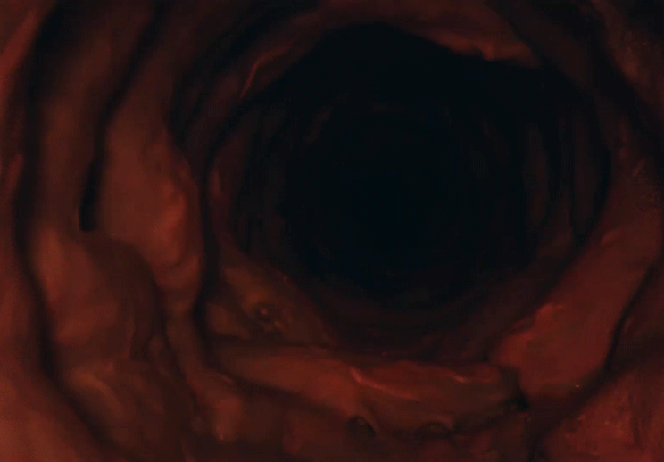 SHOW ME THE SKY TOMMY HOLOHAN WILL WIGHTMAN 30