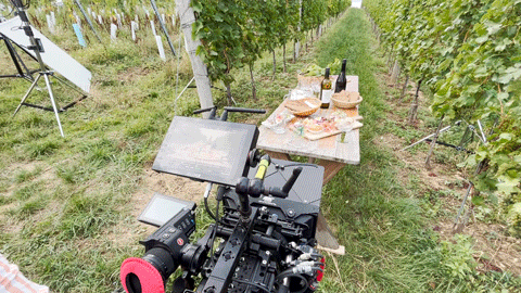 VIENNA AUSTRIA TOURISM SAM GAINSBOROUGH BTS25