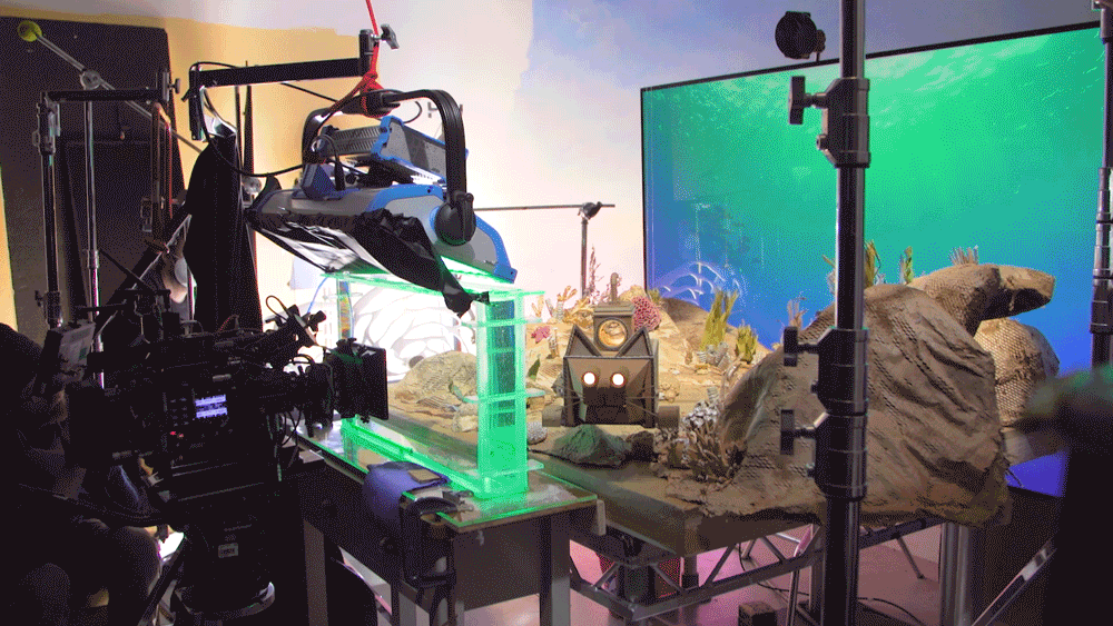 WHISKAS BTS GIF 2