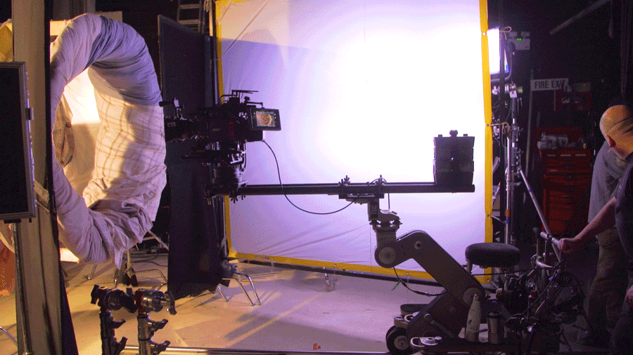 WHISKAS BTS GIF 7