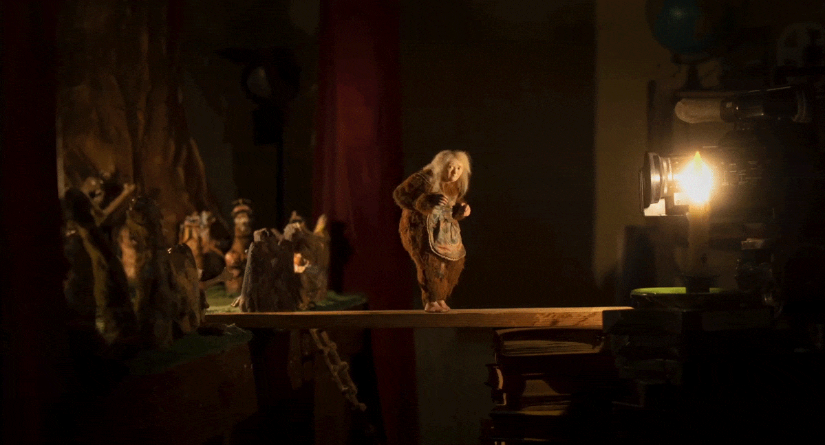 Wander to Wonder GIFS 1