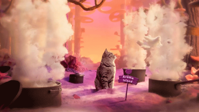 Blinkink Isabel Garrett Whiskas purradise gif 4