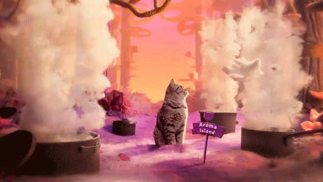 Blinkink Isabel Garrett Whiskas purradise gif 4