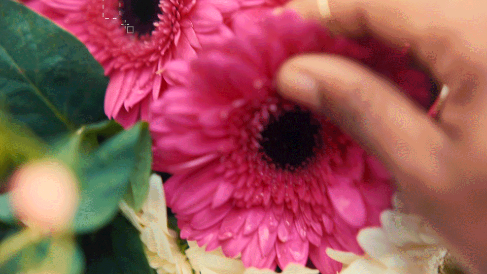 DVEIN Adobe The World Is Your Canvas GIF 02