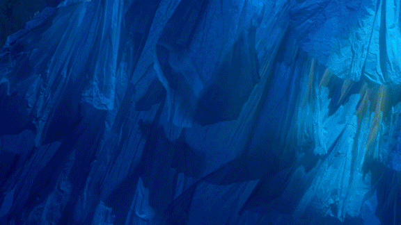 Isabel Garrett Chester Zoo Lanterns and Light GIF 01