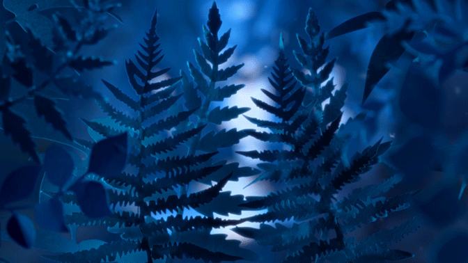 Isabel Garrett Chester Zoo Lanterns and Light GIF 03