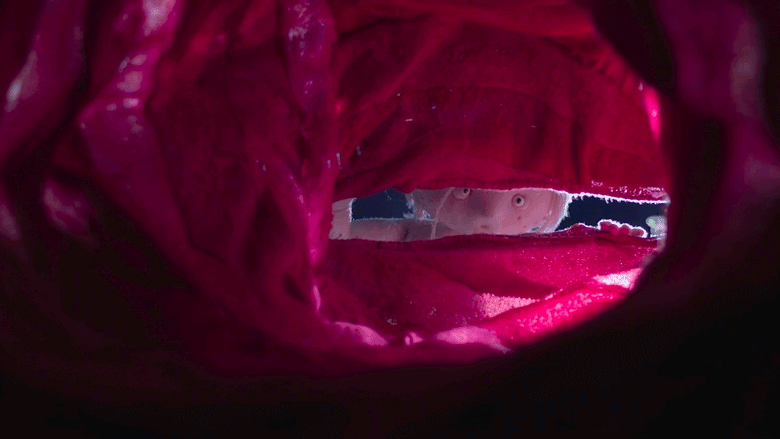 Isabel Garrett LTMS GIF 03