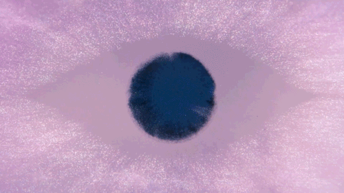 Jon hopkins therapy gif6