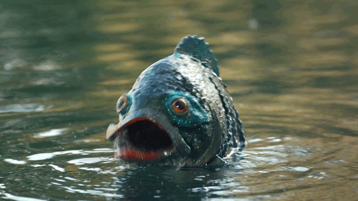 Naked Gif 3 210409 134655