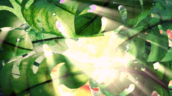 Renee Zhan Lunchables GIF 03