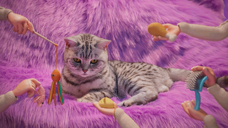 Renee Zhan Whiskas Purr More GIF 02