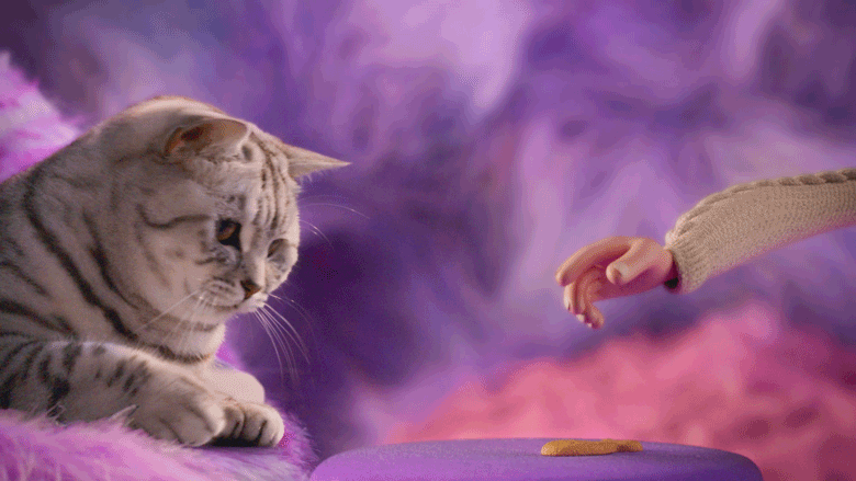 Renee Zhan Whiskas Purr More GIF 04