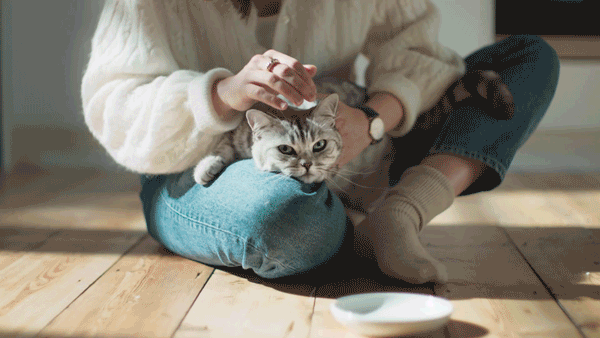Whiskas Gif 1