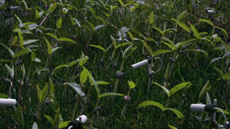 Analog shiseido edit clip3