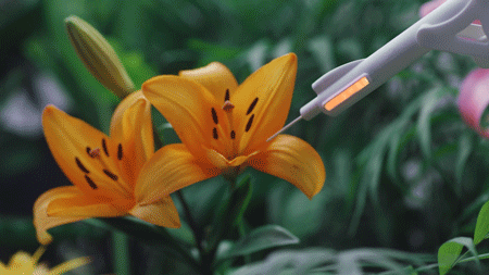 Analog shiseido edit clip5