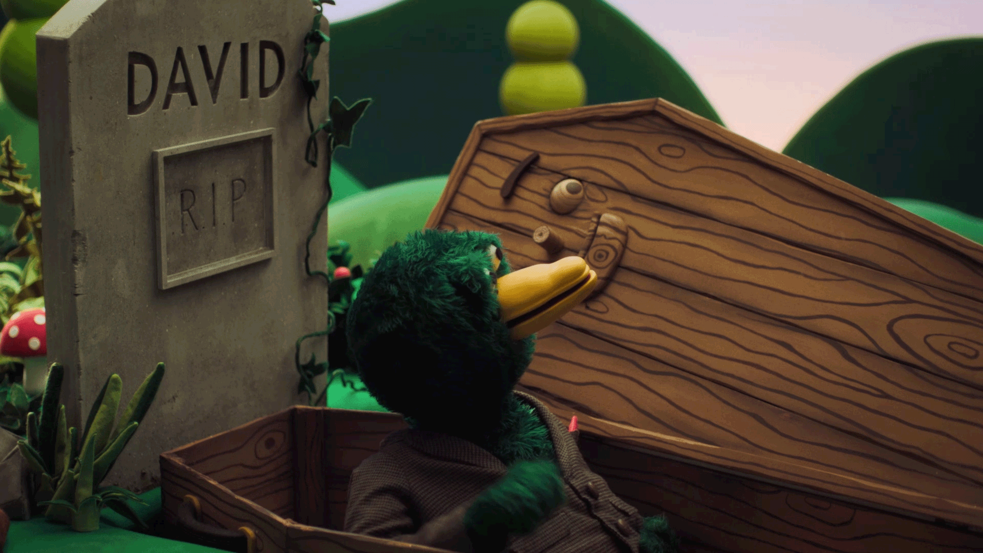 Dhmis GIF 5