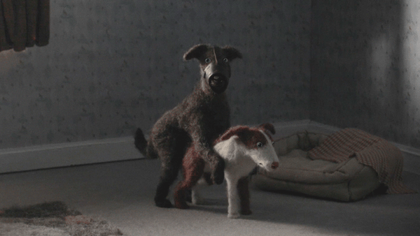 Edmond gif