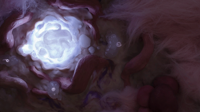 Gloogigigation clip 3